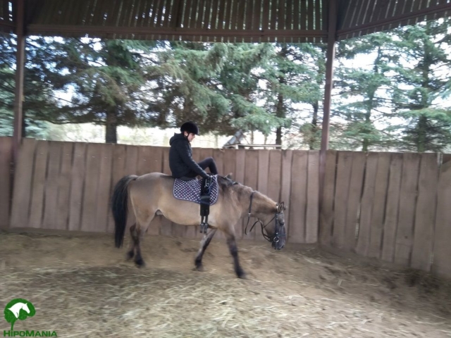 20200217Ferie3