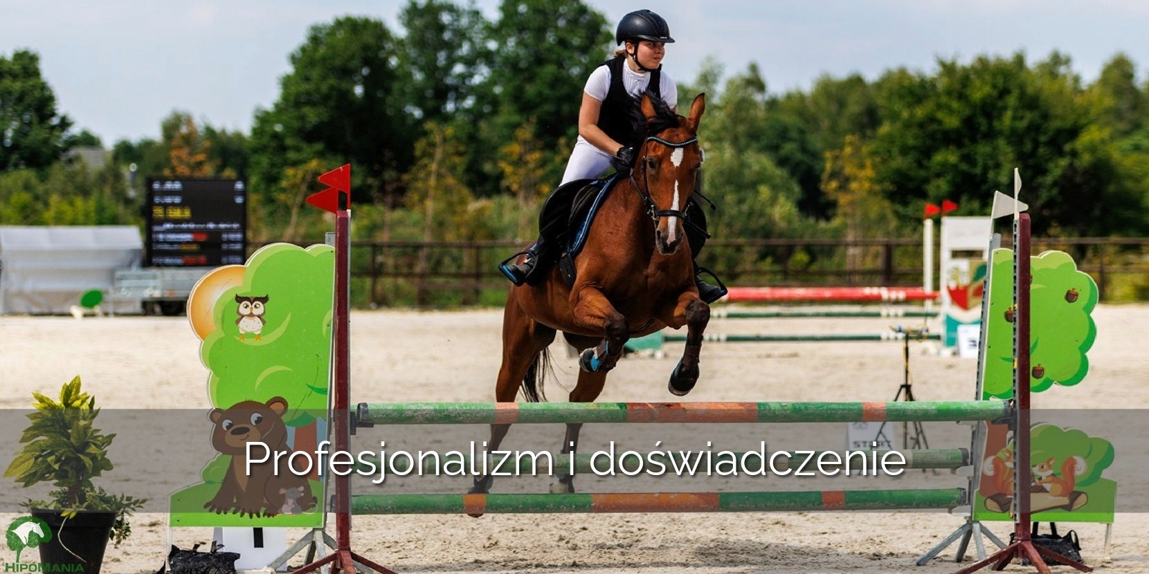 Profesjonalizm i doświadczenie